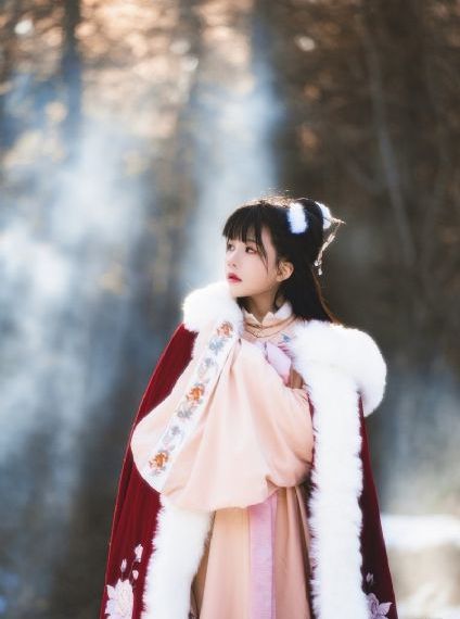 女神电视剧在线观看免费